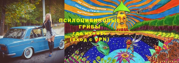 мяу мяу кристалл Алексин